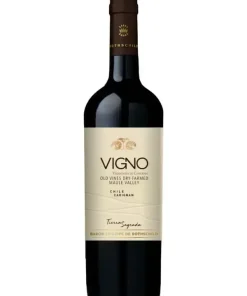 Rượu Mapu Tierra Sagrada Carignan Vigno - Giao Nhanh 24h