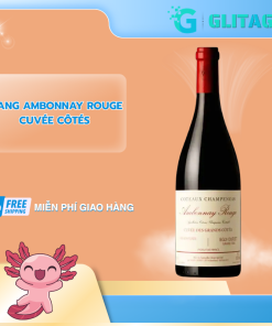 Vang Ambonnay Rouge Cuvée Côtés - BẢN ĐẶC BIỆT