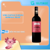 Vang Chateau Ploizeau Bordeaux Rouge – GIAO NHANH