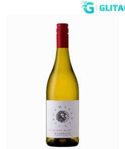 Vang Sauvignon Blanc - Circumstance Sauvignon Blanc - Giao siêu tốc